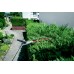 Насадка-кущоріз Metabo MA-HS 50 (601726850)