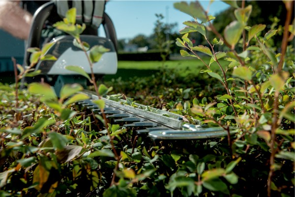 Акумуляторний кущоріз Metabo AHS 18-55 V (600463850) фото 8