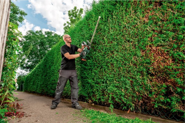Акумуляторний кущоріз Metabo AHS 18-55 V (600463850) фото 2
