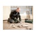 Перфоратор Metabo KHE 3251 (600659000)