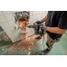 Відбійний молоток Metabo MH 5 (600147500)
