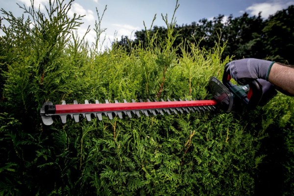 Акумуляторний кущоріз Metabo HS 18 LTX 55 (601718850) фото 11